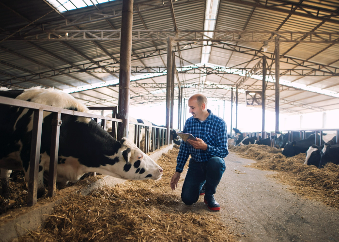 livestock-solutions-42ba4d289ba27d9ef58260429854cd56